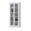 Gabinetes de Almacenamiento de Químicos, Gabinetes de Acero para Medicamentos, Gabinetes de Vidrio para Reactivos de Laboratorio, Gabinetes Químicos Anticorrosivos