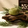 Platycladus Orientalis Hoja Jabón Champú Usman Cuidado Herbal del Cabello Jabón Champú Jabón de Aceite Esencial Fortalecedor del Cabello Jabón Artesanal de Limpieza Profunda