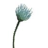 Flores Artificiais, Flores Agulha Cauda de Fênix Tropical Sul-Africana para Almofada, Ornamentos de Decoração para Mesa de Sala de Jantar, Adereços para Fotografia, Flores Artificiais, Arte Floral Artificial