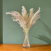 Espanador de Flor Real Natural Cana Pequena Capim dos Pampas Cana Flor Seca Estilo Nórdico Sala de Estar Simples Casa Decoração Ornamentos