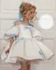 Vestido Infantil de Manga Abullonada Estilo Francés, Nuevo Modelo Transfronterizo en Aliexpress, Vestido de Princesa Dulce y Lindo para Niñas