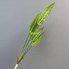 Guanyinlian de siete cabezas Pasto Pico de Bambú Flores de Simulación para Boda Plantación Verde Hoja de Color a Mano Taro Sagitaria Murraya Material de Flor Mori