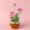 Producto Terminado Hecho a Mano Transfronterizo Xuefeier Lana Rosa Planta Artificial en Maceta Escritorio Adornos de Crochet Regalo Día de San Valentín Chino