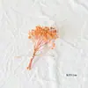 Buquê de flores secas de gipsofila, grama de cristal, decoração de carro, pequeno buquê de rosas, enfeite de mesa, material de flor eterna DIY