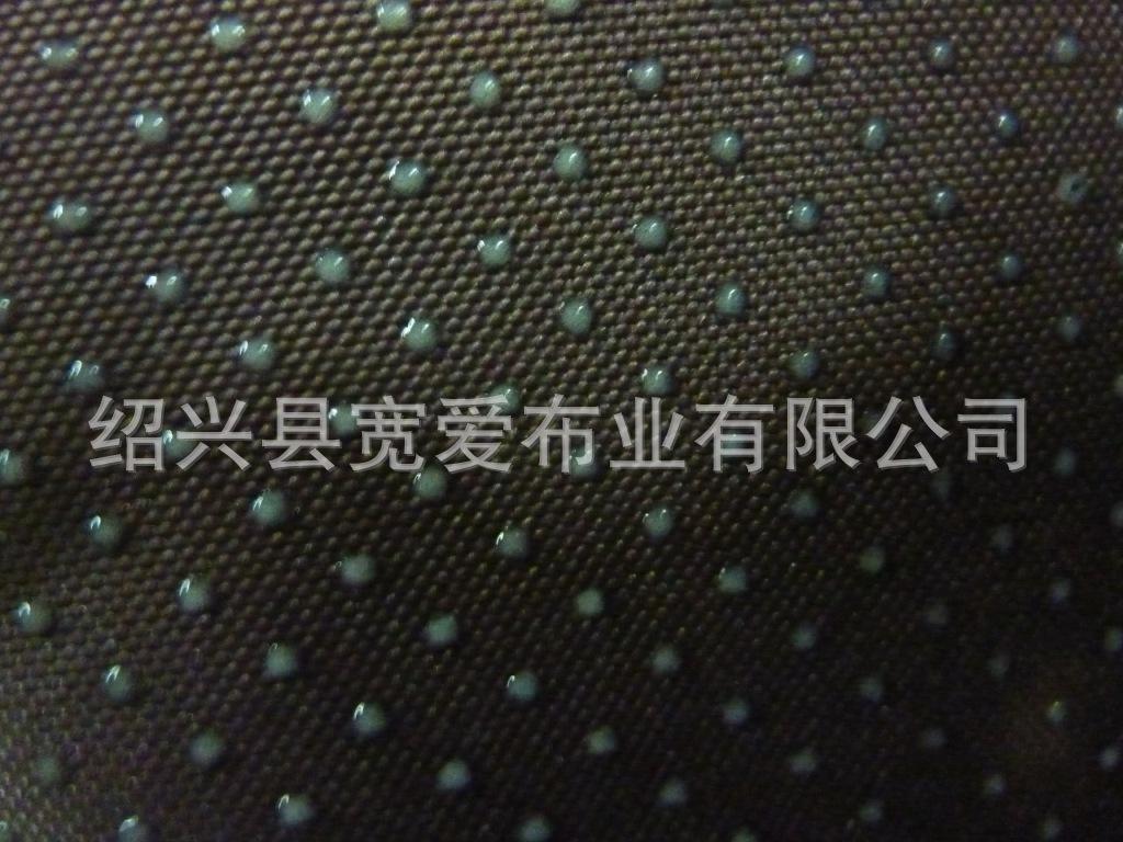 P1100130