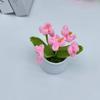 Regalo Día del Maestro Planta en Maceta de Nomeolvides Terminada Adornos Decoración Oficina Hogar Simulación Flor de Lana Tejida Planta en Maceta