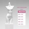 Accesorios de modelo de lencería tienda de ropa para mujer tienda de ropa sujetador de medio cuerpo ropa interior para hombre modelo de cadera cuerpo humano falso de cuerpo completo soporte de exhibición