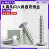 Tornillo Autorroscante de Acero Inoxidable 304 con Cabeza Plana de Hexágono Interior, Cabeza de Hongo, Cabeza de Sombrilla, Punta Aguda, Cola Puntiaguda, Tornillo para Madera m3m4m5m6m8
