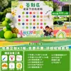 Decoração de Cena de Cerimônia de Formatura de Jardim de Infância, Atmosfera de Turma Grande, Assinatura de Atividade para Escola Primária na Parede de Fundo Painel de Exibição Kt