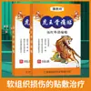 Parche para el Dolor Óseo Wen Physician Tiger King Yeso Parche para el Dolor Parche Autocalentable Regalo del Club Suministro de Comercio Electrónico de Mercado Temprano Venta al por Mayor