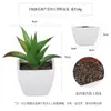 Más de 100 Tipos de Combinaciones de Plantas Suculentas Artificiales en Maceta Mini, Ventas Transfronterizas Populares, Estilo Sencillo Decoración del Hogar Flores Artificiales y Plantas Verdes, Directo de la Fábrica Fuente