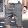 Pantalones Cortos de Seda Helada para Hombre, Nuevo Estilo Coreano de Verano, Corte Holgado, Empalme Elástico con Etiquetas, Pantalones Cortos de Longitud Media para Playa