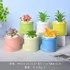 Maceta de cerámica con forma de macarrón, diseño de dibujos animados, para plantas carnosas, maceta pequeña, ideal para jardinería doméstica en Amazon, maceta para cactus.