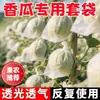 Bolsa a prueba de insectos y pájaros para melón, bolsa protectora para frutas, sandía, uva, calabaza, melocotón, chirimoya, bolsa tipo universal
