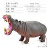 Educação infantil simulação modelo animal rinoceronte hipopótamo leopardo elefante urso polar conjunto Ciência e Educação fabricantes de brinquedos cognitivos