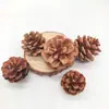 Fatias de Limão Decoração de Natal Acessórios Artesanais DIY Arranjo de Flores Ornamentos Decoração de Casa Pinhas Adereços de Fotografia Cascas de Frutas Secas