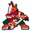 [Traje con hebilla de zapato] Equipo de hockey sobre hielo transfronterizo de la NHL, zapatos con agujeros hechos a mano, hebilla de zapato con flores, decoración de zapatos de PVC.