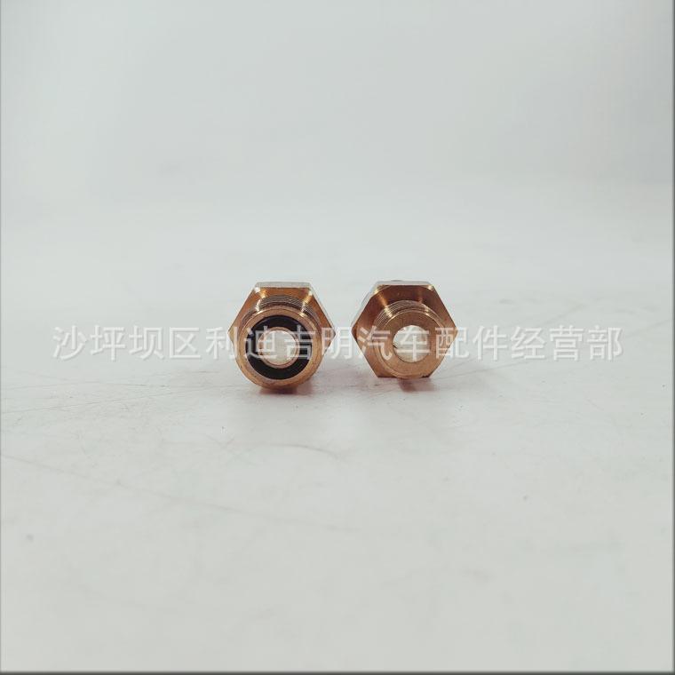 详情页阳性接头3085824_1.jpg