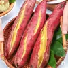 Batatas Dulces de Castaña Shaanxi Linchong Recién Desenterradas, Batatas Dulces de Miel, Batatas Frescas de Suelo Arenoso, Batatas Pequeñas Cultivadas en Granja, Batatas