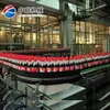 Línea de Producción de Bebidas Carbonatadas Equipo Totalmente Automático Equipo de Procesamiento Pequeño para Bebidas Carbonatadas Equipo de Llenado de Coca-Cola