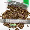 Medicina Chinesa à Base de Ervas Sichuan Xuan Duang, Fatias de Sichuan Xuan Duang, Sichuan Xuan Duang Sem Enxofre, Natural Sem Enxofre 500g