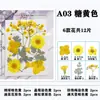 Paquete de Hojas de Flores Secas DIY Cristal Epoxi Paquete de Materiales de Flores Hechos a Mano Pegatinas de Flores Prensadas Materiales Plantas Decorativas Muestras Fotografía