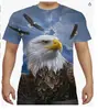 Serie de Ropa para Hombre Popular Animal Color Transfronteriza Europea y Americana 2024 Camiseta 3Dt Impresión Digital Cuello Redondo