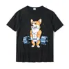 Camisetas Divertidas de Levantamiento de Pesas para Gimnasio Gráficas Perro Dachshund Levantamiento de Pesas