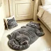Alfombra de suelo de felpa sintética con forma irregular de dibujos animados lindos para baño del hogar, alfombrilla de pie absorbente de agua, decoración de dormitorio, alfombra resistente al desgaste
