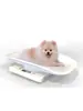 Balança de Pesagem de Animais de Estimação Doméstica de Alta Precisão para Gatos e Cachorros, Balança Eletrônica para Animais Pequenos, Mini Balança de Peso