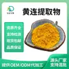 Extrato de Coptis Extrato de Coptis Solúvel em Água em Pó Vegetal Concentrado Método de Extração de Purificação Fonte de Grau Alimentício Fábrica com Fortes Capacidades