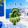 Guangxi prohíbe los plátanos verdes y los plátanos mijo. Entrega de plátanos enteros de 2/3/5/ 4,5 kg con tallo, dulces y pegajosos, fruta fresca en cajas enteras