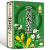 Uma Coleção Completa de Terapia Dietética para Todas as Doenças, Huangdi Nei Jing, Shennong Materia Medica, Tang Tou Song Jue, Acupuntura e Ventosaterapia, Ilustrações em Cores