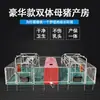 Cama de Parto de Doble Cubículo con Panel Compuesto Galvanizado Calentado y Barras de Límite Fijas, Maquinaria Ganadera, Cama de Parto para Cerdas Veterinarias