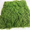 Algodón Perla para Plantar Césped de Doble Color Pelusa Alfombra de Musgo Inmortal Muro de Musgo Jardín Andamio de Ajuste Suave Mesa de Arena Paisajismo