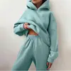 2026 Novo Moda Casual Esportiva Europeia e Americana Transfronteiriça Moletom com Capuz Espesso Cor Sólida Conjunto Fashion para Mulheres