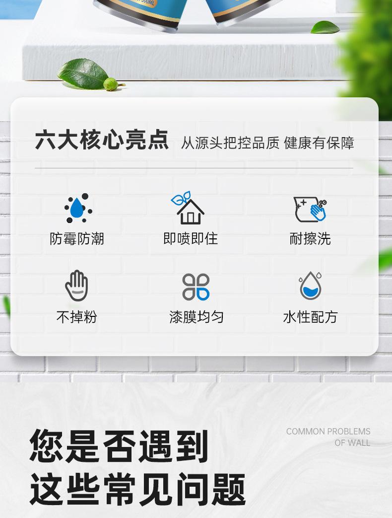 墙面翻新漆300ml_02