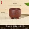 Criativo suculenta floreira planta de carne Acorus calamus pequeno bonsai decoração estudo desktop simples durável vaso de resina atacado