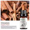 Exportación Transfronteriza Aceite Esencial Individual Fragancia Aromaterapia Masaje Aceite Esencial Sándalo Difusor Mayoreo Muestra de 10 ml