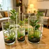 Jarrón ecológico recto, jarrón de flores de vidrio transparente para el hogar, decoración creativa para sala de estar, jarrón hidropónico de micro paisajismo nórdico