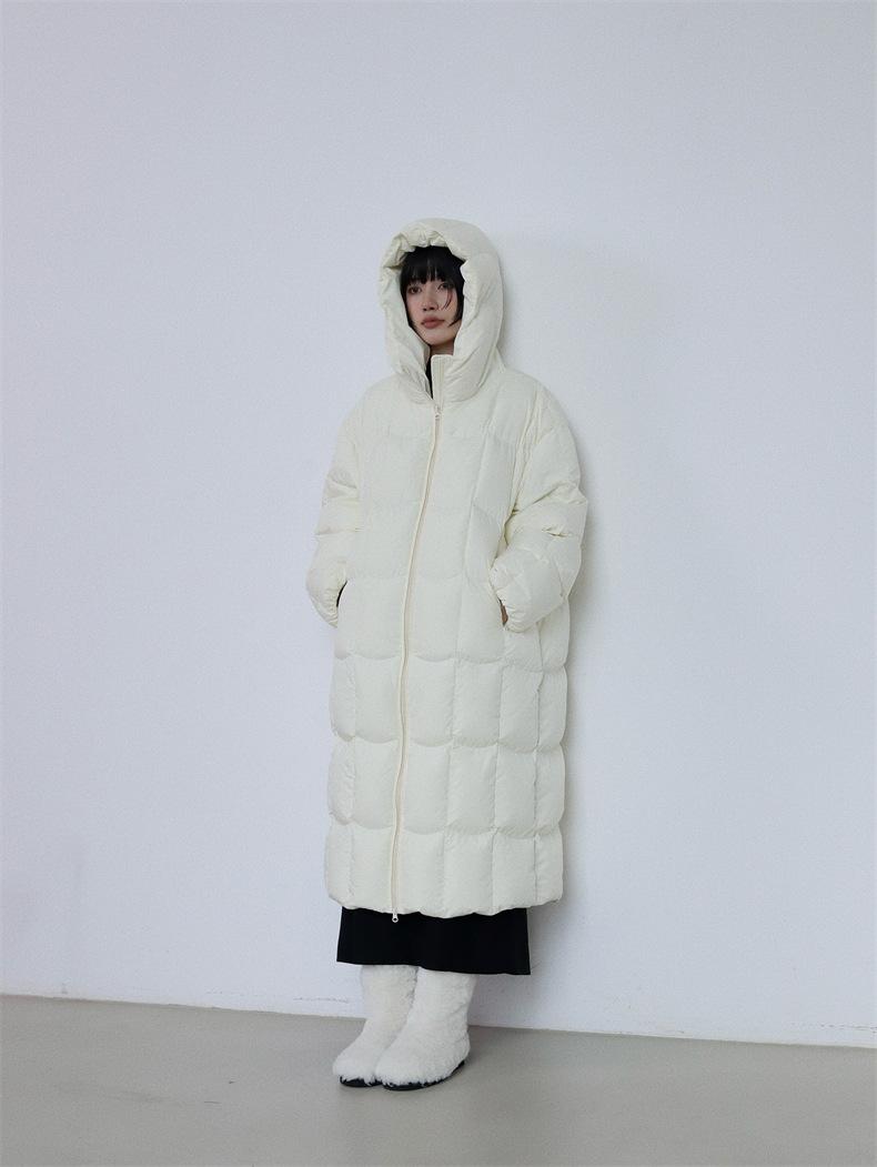 2024-11-19 174452.jpg