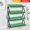 Estanterías de Frutas y Verduras para Supermercados Exhibidores de Múltiples Niveles Estanterías de Almacenamiento de Tres y Cuatro Niveles para Tiendas de Conveniencia Estanterías para Frutas