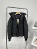 Parka de Penas Goose 17 Modelos Outono e Inverno, Casaco Unisex Curto com Capuz Espessado de Penas de Pato Branco, Estilo Casal