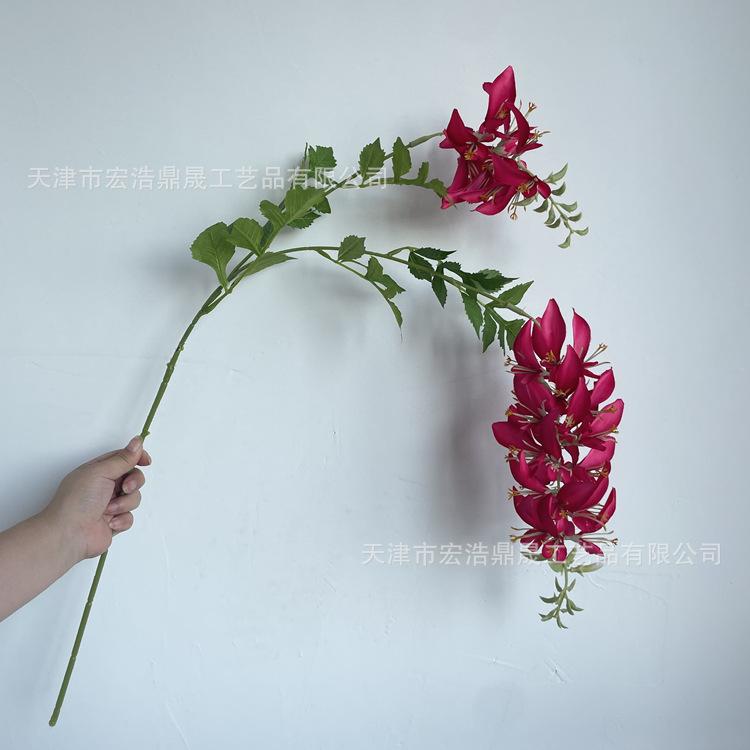 微信图片_202208241820234_副本