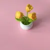 Produtos Acabados de Fronteira, Lã de Boneca Fofa Tricotada à Mão, Plantas em Vasos de Lírio-do-Vale, Flores Simuladas, Joias de Crochê, Móveis e Presentes para Casa