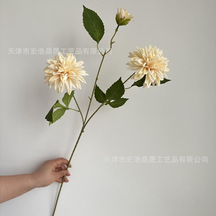 微信图片_202304201402135_副本