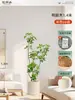 Plantas Verdes Artificiais de Alta Qualidade para Decoração de Sala de Estar, Planta Realista Falsa de Figueira-da-Índia Preta para Decoração de Sala de Transmissão ao Vivo