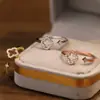 Anillo de Flor Completo de Diamante para Mujer 2025 Nuevo Estilo Lujo Accesible Diseño de Nicho de Gama Alta Anillo Abierto Microincrustado de Zirconia