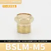 Válvula Solenoide Pneumática Torre de Acelerador de Cobre Silenciador Bsl-01 Polegada 2/3/4 Polegada Besl Conector Silenciador Silencioso