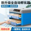 Fábrica de Origen Incubadora Doméstica de Codornices Mini Incubadora de Huevos Caja de Incubación Incubadora Cría Control Inteligente de Temperatura